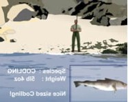 Desktop fishing online fiús játék
